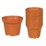 Kvetináč Classic Tod terakota, pr. 7 cm, 15 ks