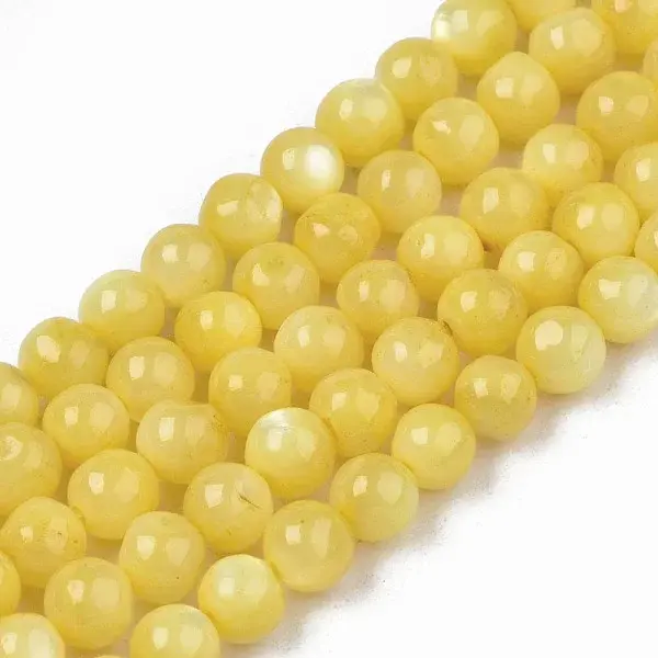 Natural Freshwater Shell Beads Strands