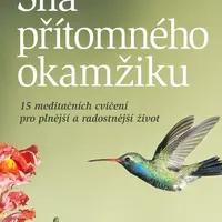 E-kniha: Síla přítomného okamžiku od Rossbach Gabriele