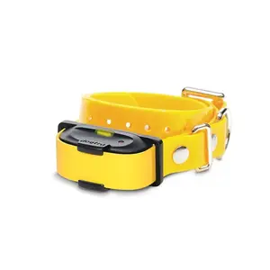 Obojok a prijímač Dogtra iQ MINI