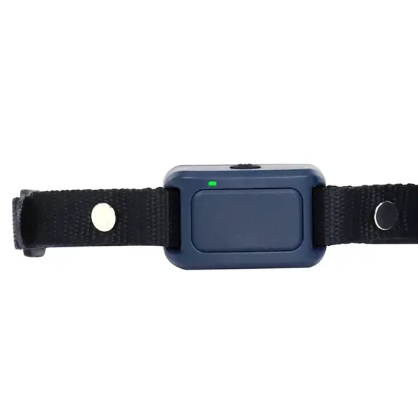 Obojok a prijímač Patpet 681