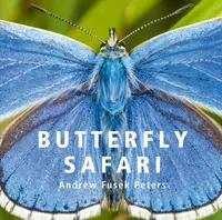 Butterfly Safari - Andrew Fusek Peters
