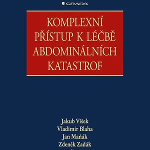 Komplexní přístup k léčbě abdominálních katastrof
