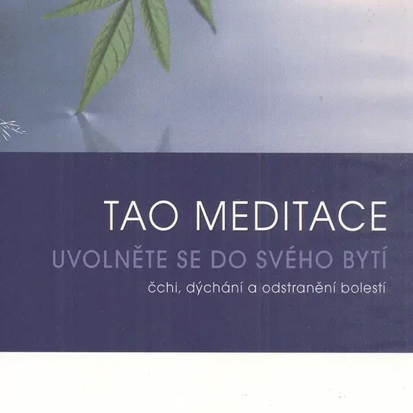 Tao meditace