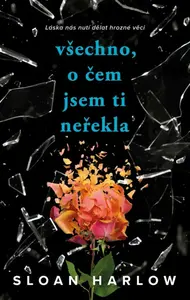Všechno, o čem jsem ti neřekla