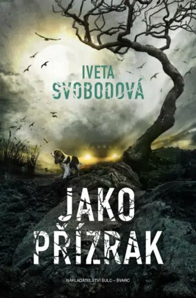Jako přízrak - Iveta Svobodová
