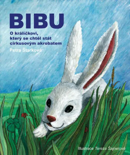 Bibu - Petra Štarková - e-kniha