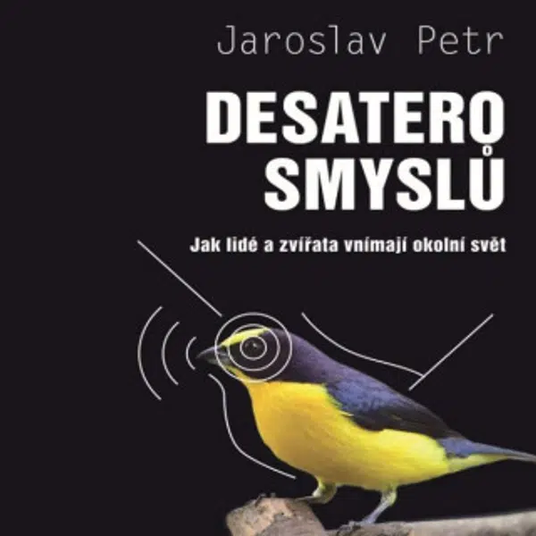 Desatero smyslů - Jaroslav Petr - audiokniha