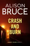 Crash and Burn - Alison Bruce