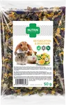 Pamlsek NUTRIN Nature Detoxication & Digestion pro hlodavce 50g