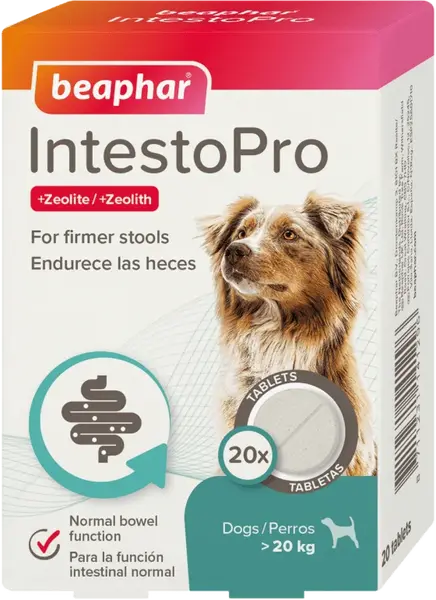 Tablety Beaphar IntestoPro L pro velké psy 20 tablet