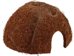 Repti Planet Úkryt Coco Shell M