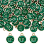 72Pcs Zinc Alloy Enamel Pendants