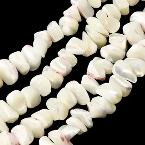Natural Trochid Shell/Trochus Shell Beads Strands