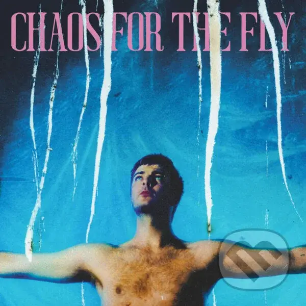 Grian Chatten: Chaos For The Fly LP
