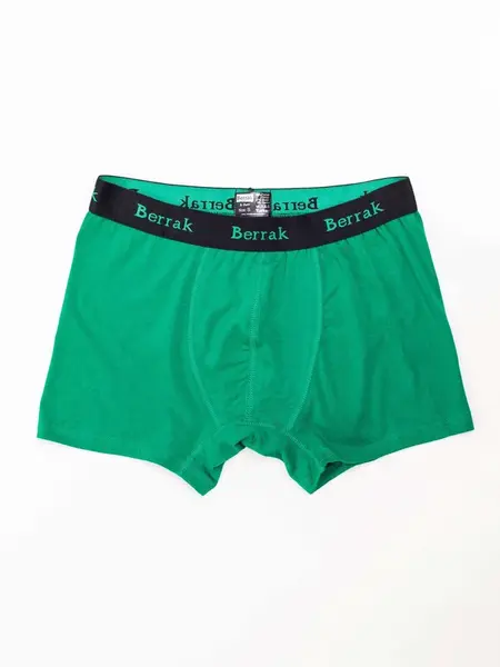 Boxer shorts-BR-BK-4476.28P-green