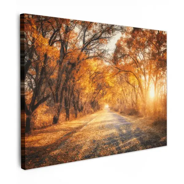 MuchoWow OBRAZ NA PLÁTNĚ Les - Podzim - Stromy - Lesní cesta - Příroda 80x60 cm