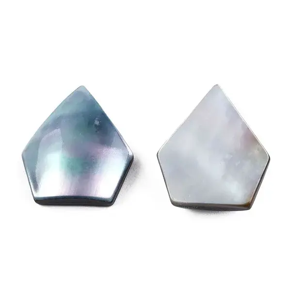 Natural Turbo Cornulus/Top Shells Cabochons