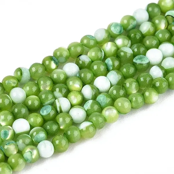 Dyed Natural Trochid Shell/Trochus Shell Beads Strands