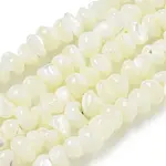 Natural Trochus Shell Beads Strands