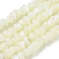 Natural Trochus Shell Beads Strands