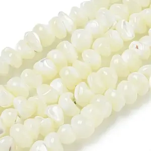 Natural Trochus Shell Beads Strands