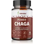 Blendea Power Chaga kapsle s antioxidačním účinkem 60 cps