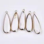 Natural Freshwater Shell Pendants