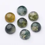Natural Moss Agate Cabochons