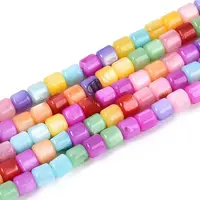 Dyed Natural Freshwater Shell Beads Strands