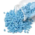 6/0 Glass Seed Beads