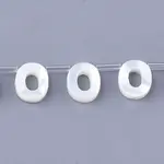 Natural Sea Shell Beads