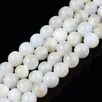 Natural Freshwater Shell Beads Strands