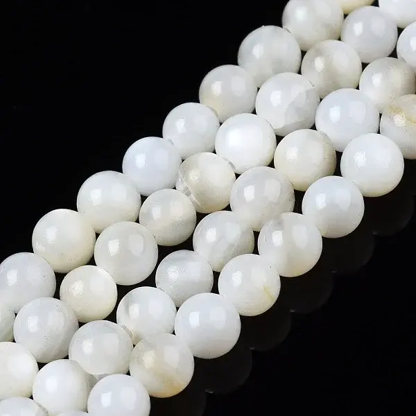 Natural Freshwater Shell Beads Strands