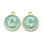 Golden Plated Alloy Enamel Charms