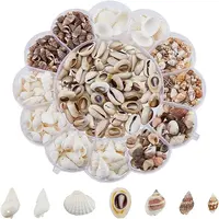 7 Styles Natural Shell Beads Sets