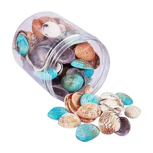 Dyed Natural Shell Beads