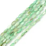 Natural Freshwater Shell Dyed Beads Strands