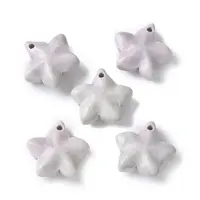 Natural Rainbow Alashan Agate Charms