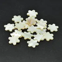 Dyed Freshwater Shell Flower Charms