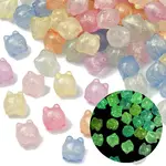 Luminous Transparent Acrylic Beads