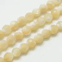 Natural Shell Beads Strands