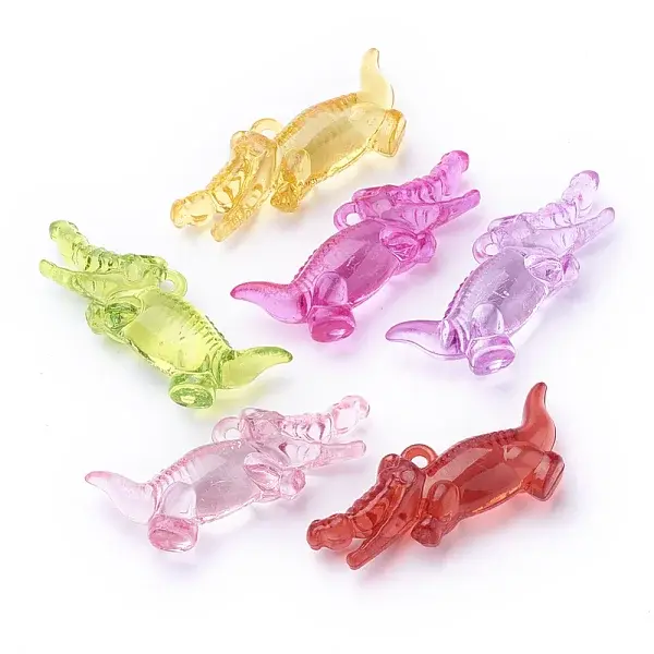 Transparent Acrylic Big Pendants