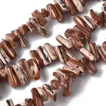 Dyed Natural Trochus Shell Beads Strands