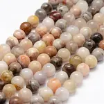 Natural Bamboo Leaf Agate Beads Strands