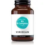 Viridian Nutrition High Five B5 B Complex + Vit C komplex vitamínu B pro normální činnost nervové soustavy a krásnou pleť 90 cps