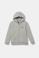 Dětská mikina Vans Sk8 Posse Full Zip šedá barva, s kapucí, s potiskem, VN000PYU02F1
