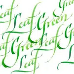 Kaligrafický inkoust W&N 30ml – 341 Leaf Green