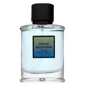 David Beckham True Instinct parfémovaná voda pro muže 75 ml
