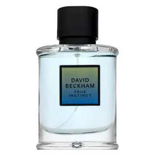 David Beckham True Instinct parfémovaná voda pro muže 75 ml
